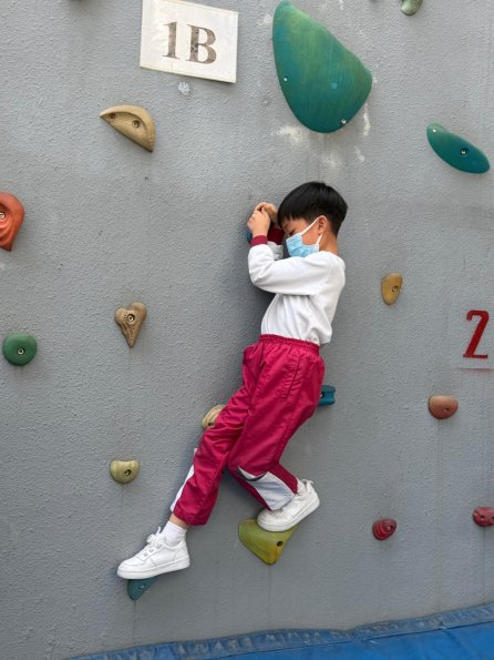 WhatsApp Image 2026-02-13 at 5.03.58 PM (11)