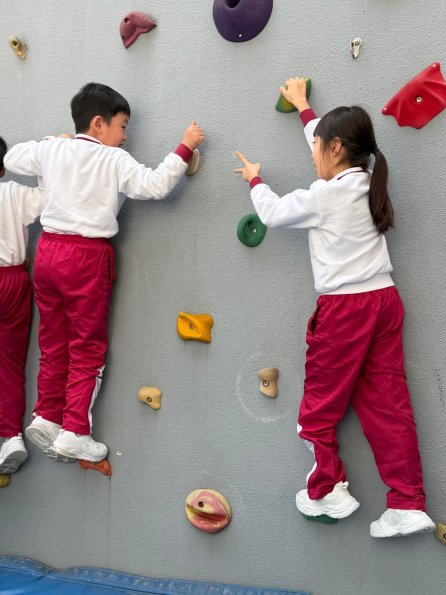 WhatsApp Image 2026-02-13 at 5.03.58 PM (16)