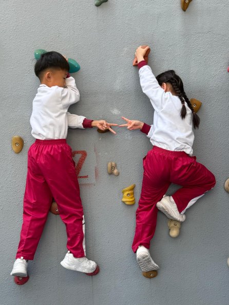 WhatsApp Image 2026-02-13 at 5.03.58 PM (17)