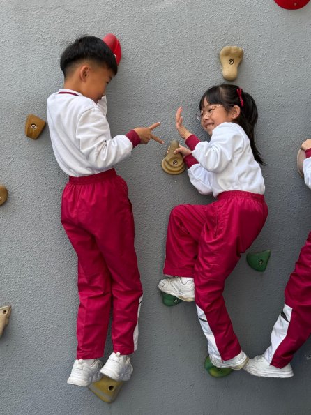 WhatsApp Image 2026-02-13 at 5.03.58 PM (18)