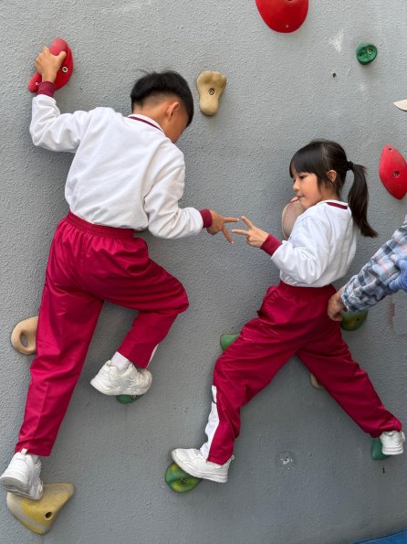 WhatsApp Image 2026-02-13 at 5.03.58 PM (19)