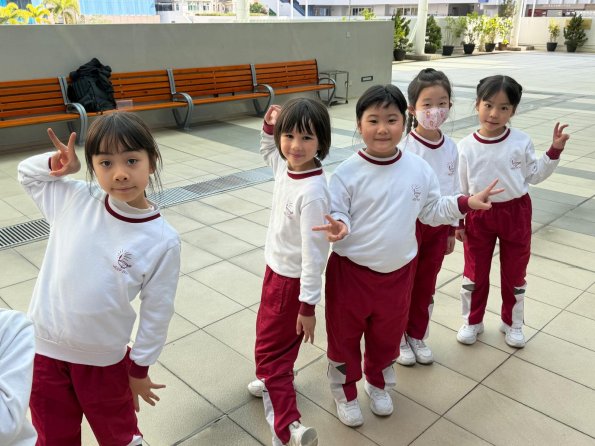 WhatsApp Image 2026-02-13 at 5.03.58 PM (3)