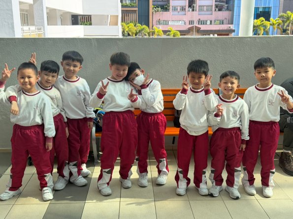 WhatsApp Image 2026-02-11 at 11.29.24 AM (1)