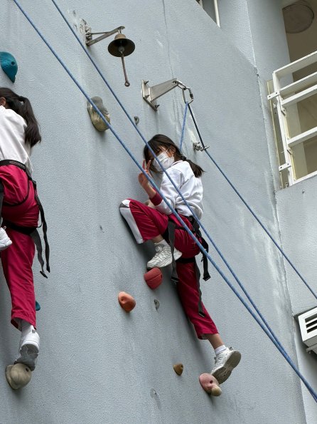 WhatsApp Image 2026-02-11 at 1.21.45 PM