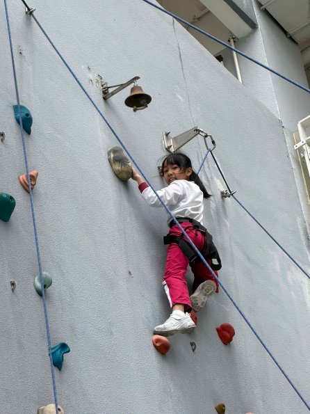 WhatsApp Image 2026-02-12 at 9.29.11 AM