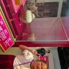 IMG_20260615_150934