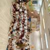 IMG_20261021_151351