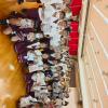 IMG_20260908_105013