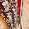 IMG_20260909_102612