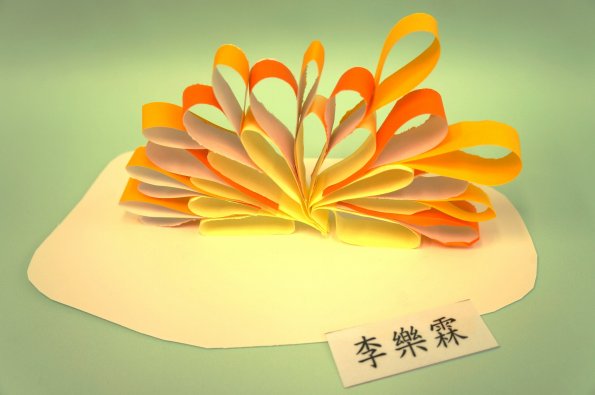 paper flower (15)