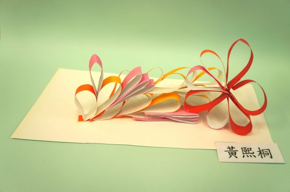 paper flower (3)