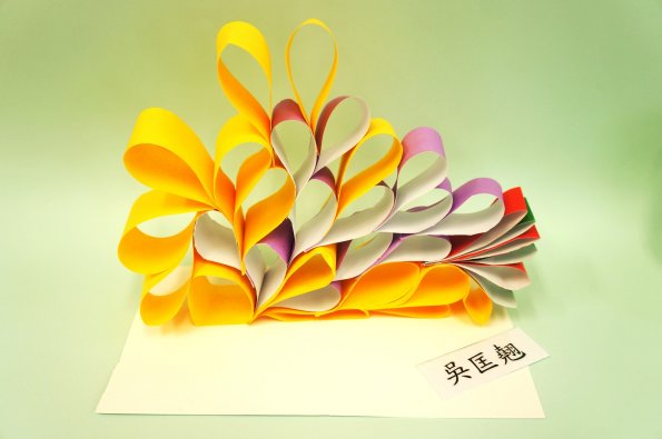 paper flower (4)