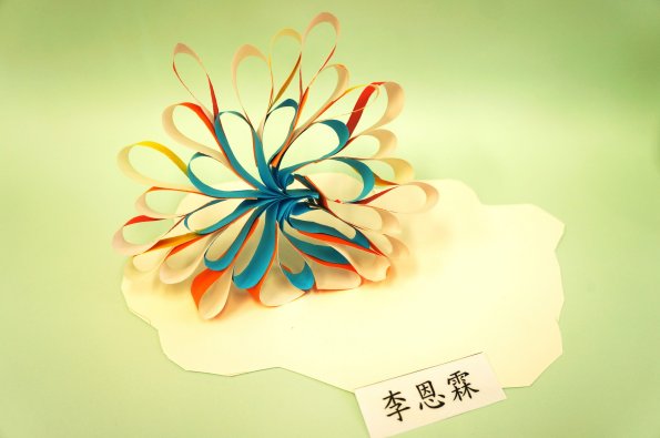 paper flower (5)