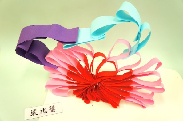paper flower (7)