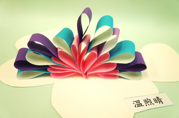 paper flower (8)