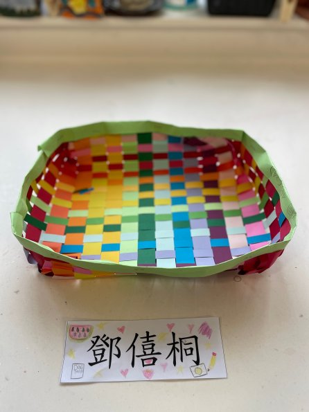 paper tray (12)