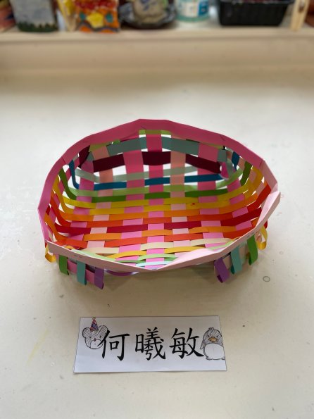 paper tray (13)