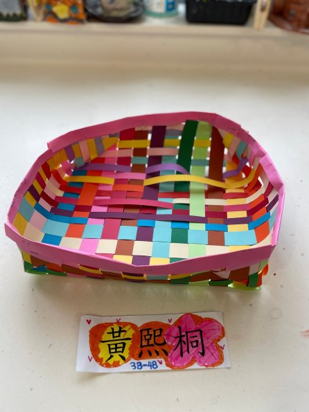 paper tray (14)