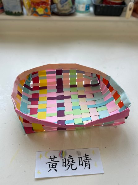 paper tray (20)