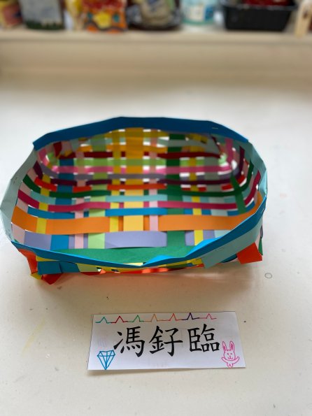 paper tray (7)