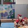 IMG_E9017